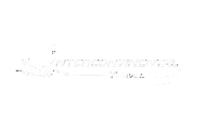 Intercontinental Travel